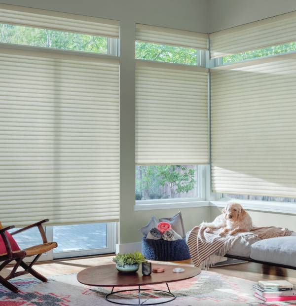 Hunter Douglas Sonnette® Roller Shades