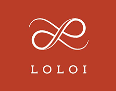 Stylish white infinity logo on a warm rust background, representing elegance and limitless creativity.
