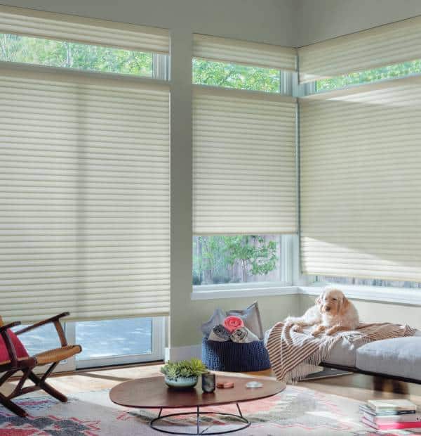 Bright living room with beige window blinds, natural light, and a relaxing atmosphere.