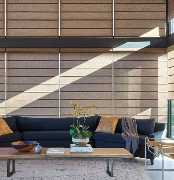 Bright contemporary living room with natural sunlight, dark sofa, wooden accents, and indoor plants.