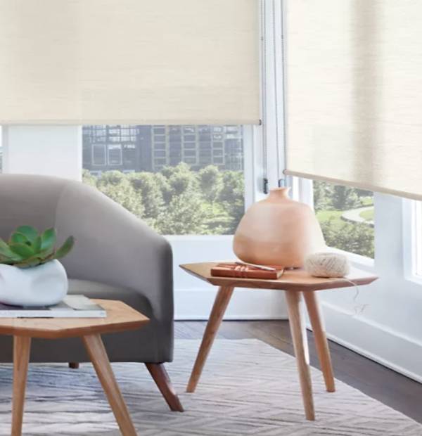 Bright living room with natural light, modern furniture, and green plant accents.