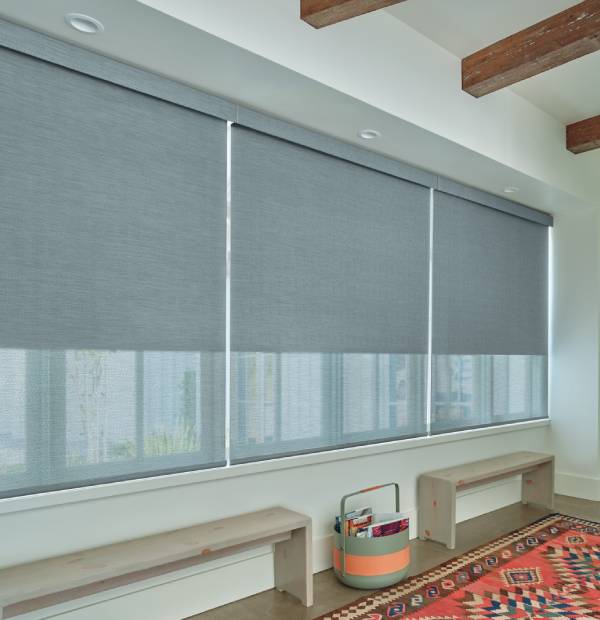 Stylish roller blinds cover large office windows, providing privacy and adjustable sunlight in a modern workspace.